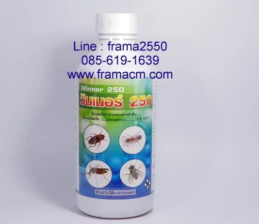 มาดูข้อมูล น้ำยาพ่นยุงสารไซเพอร์เมทริน 25%w/v ยี่ห้อ วินเนอร์ 250 น่าใช้ขนาดไหน