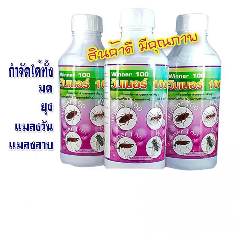 My Image 11